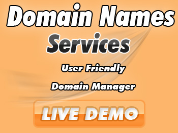 Half-price domain name registration service providers