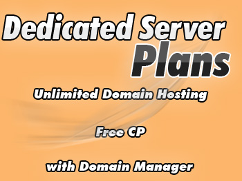 Cut-price dedicated hosting server services